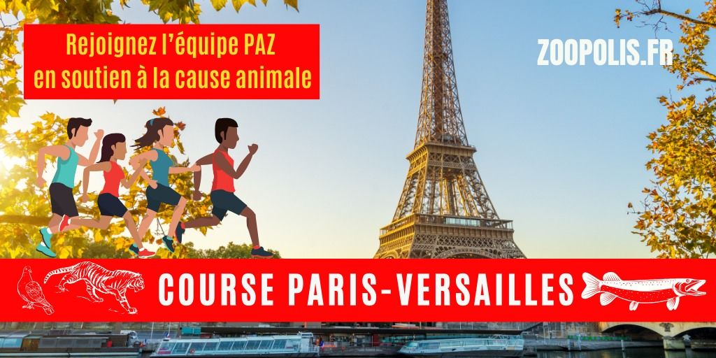 \u00c9quipe PAZ \/ course Paris - Versailles