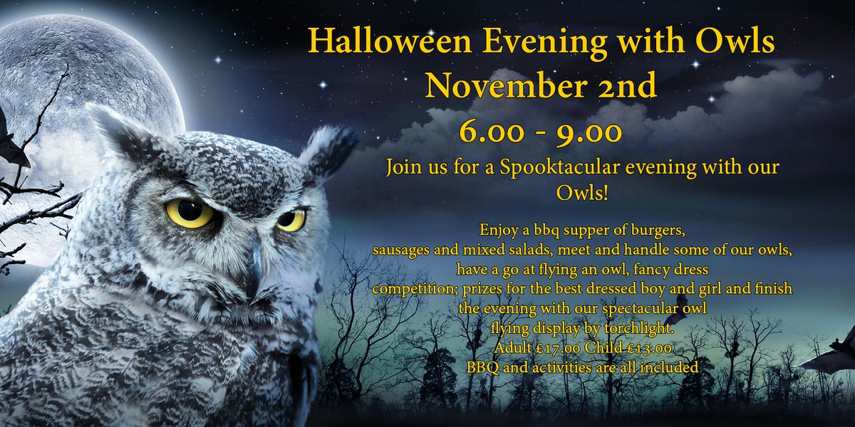 Halloween Evening with Owls