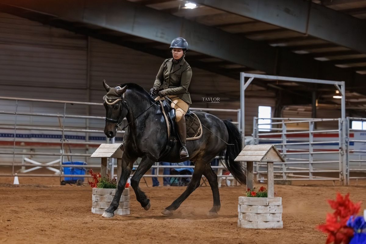 LCHA Working Equitation Schooling Show 