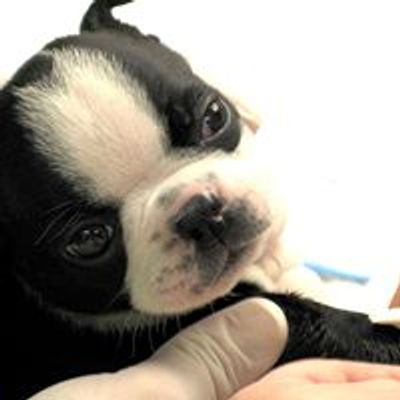 Florida Teaching Zoo Low Cost Pet Vax Clinics