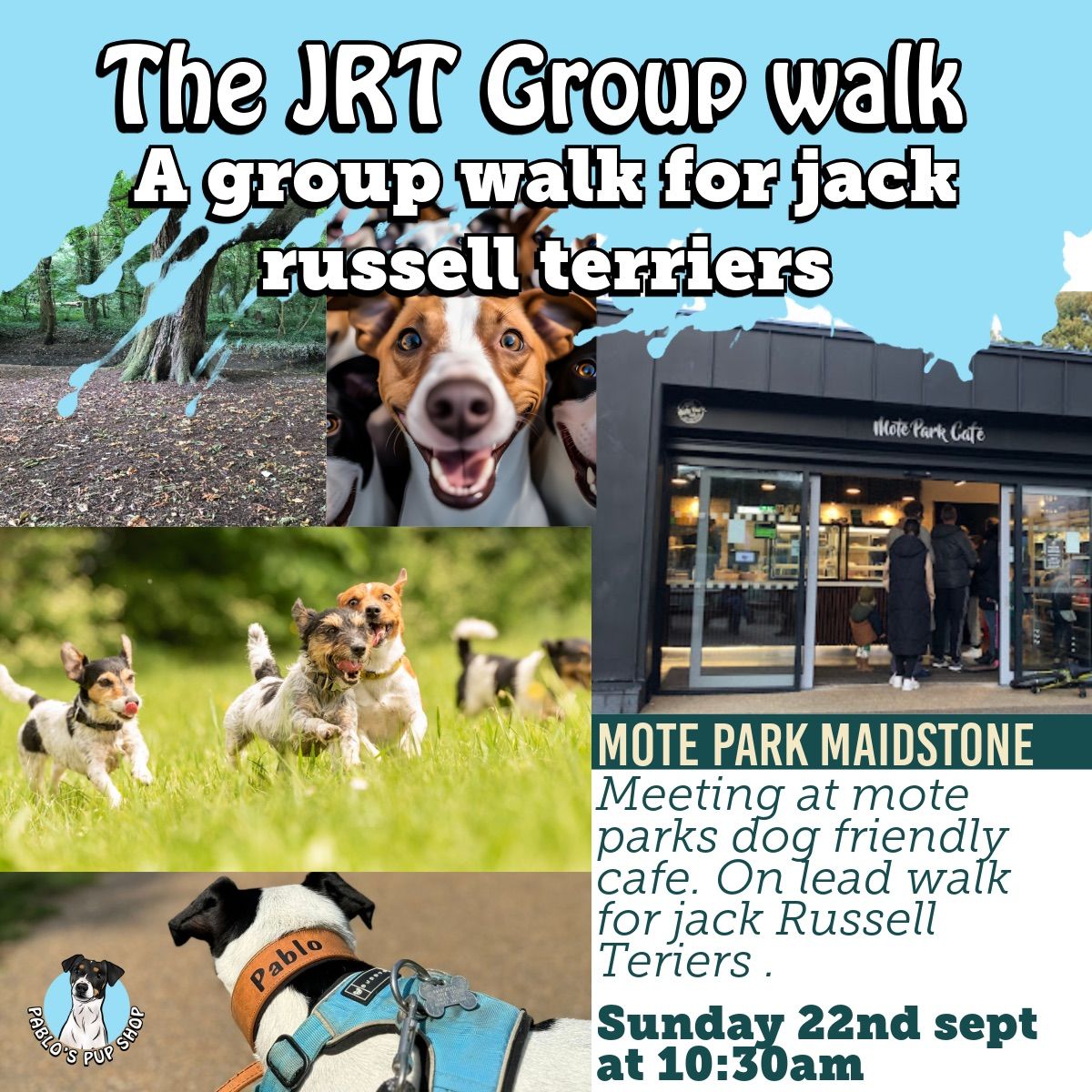 Jack Russell Terrier meet and walkies