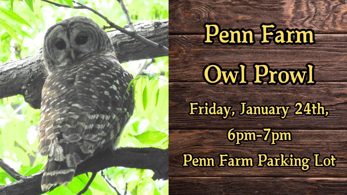 Penn Farm Owl Prowl