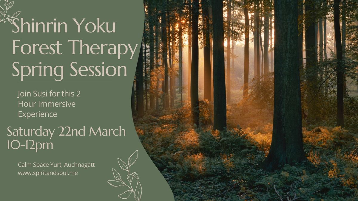 Shinrin Yoku, Forest Therapy