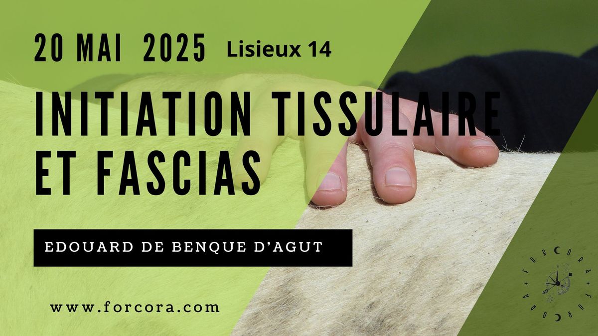 initiation aux fascias et tissulaire