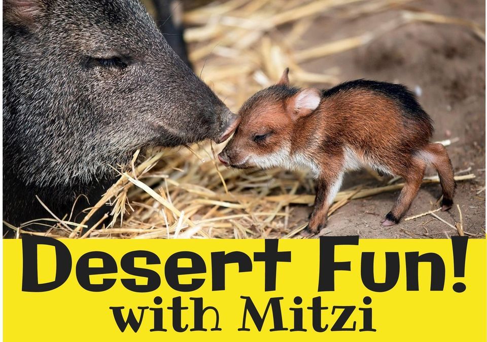 Desert Fun with Mitzi!