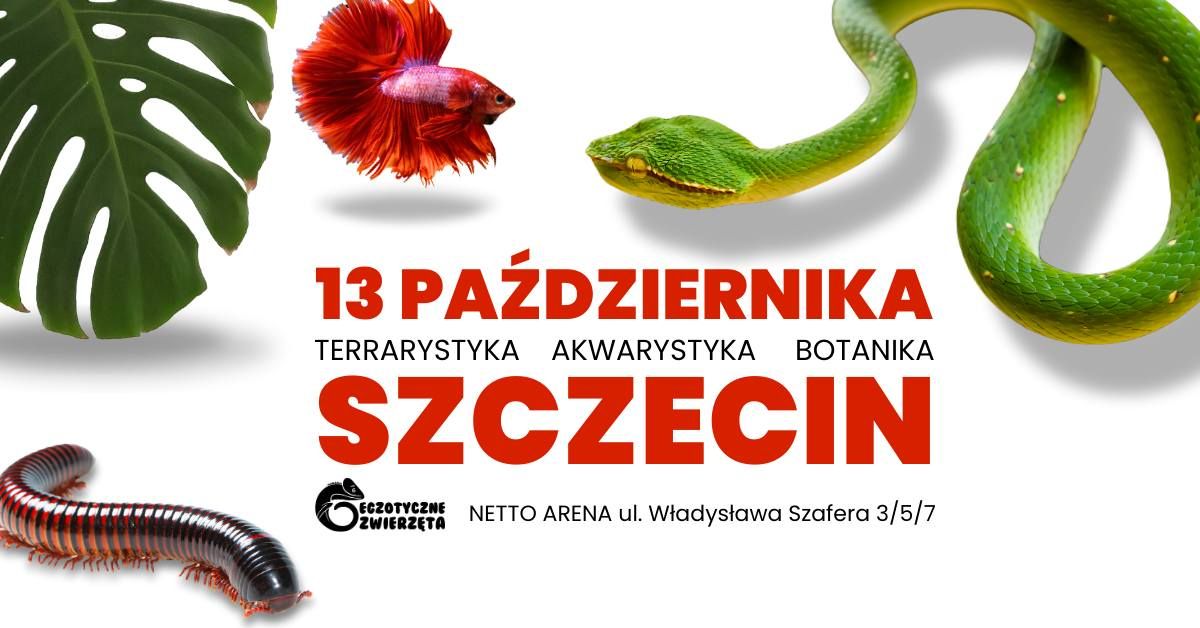 SZCZECIN - 13 Pa\u017adziernika EGZOTYCZNE ZWIERZ\u0118TA TERRARYSTYKA \/ AKWARYSTYKA \/ BOTANIKA