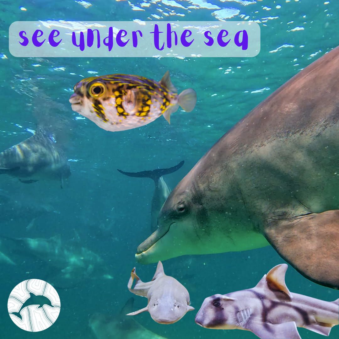 See Under The Sea \ud83e\udd88 - School Holiday Program
