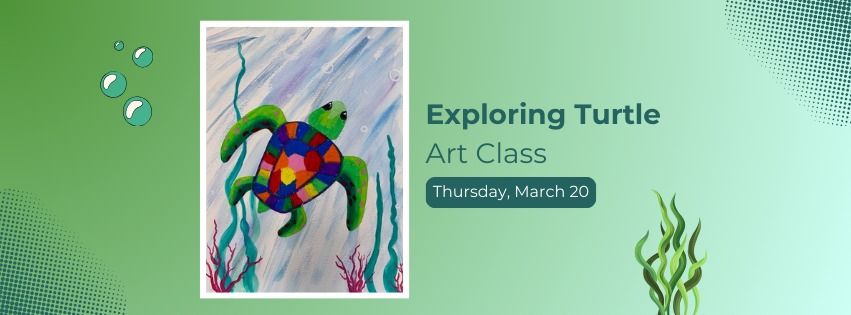 Exploring Turtle - Art Class