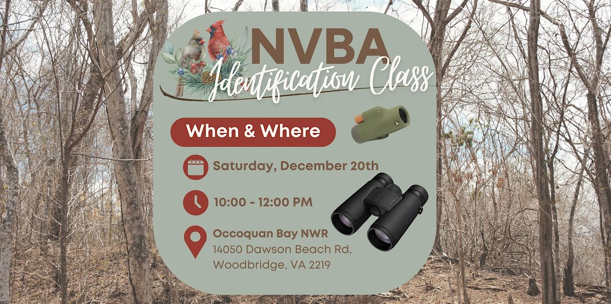 Bird Identification Workshop at Occoquan Bay National Wildlife Refuge