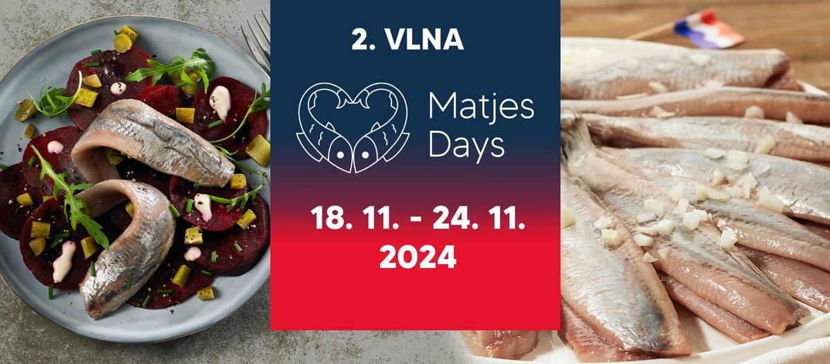 MATJES DAYS 2024 - 2. vlna