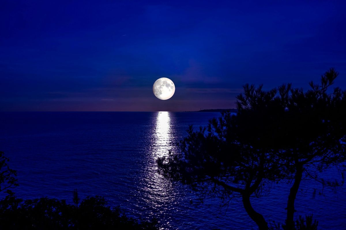 Full Moon\/ Sunset\/Bird Rookery Kayak Tour