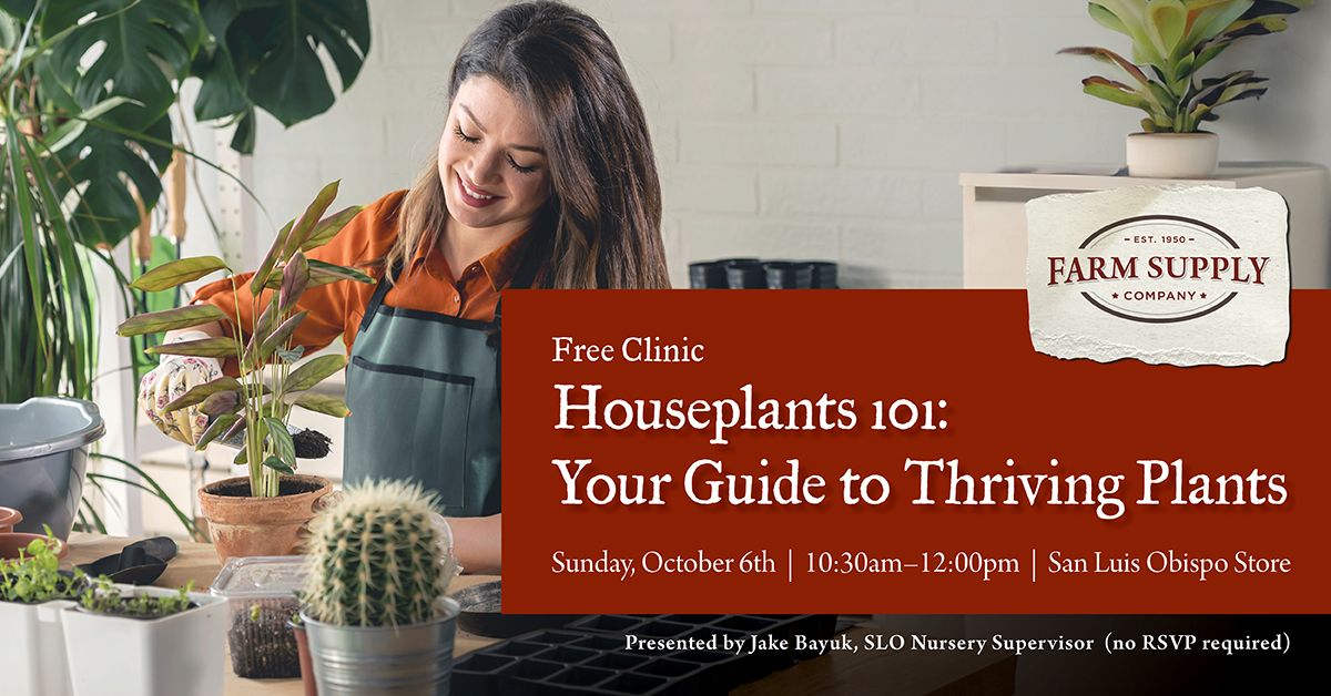 Houseplant Clinic 