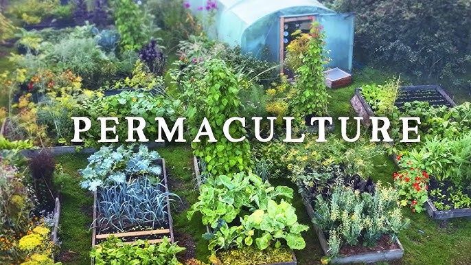 Guest Speaker Patrick Kelly - "Let\u2019s Talk Permaculture!"