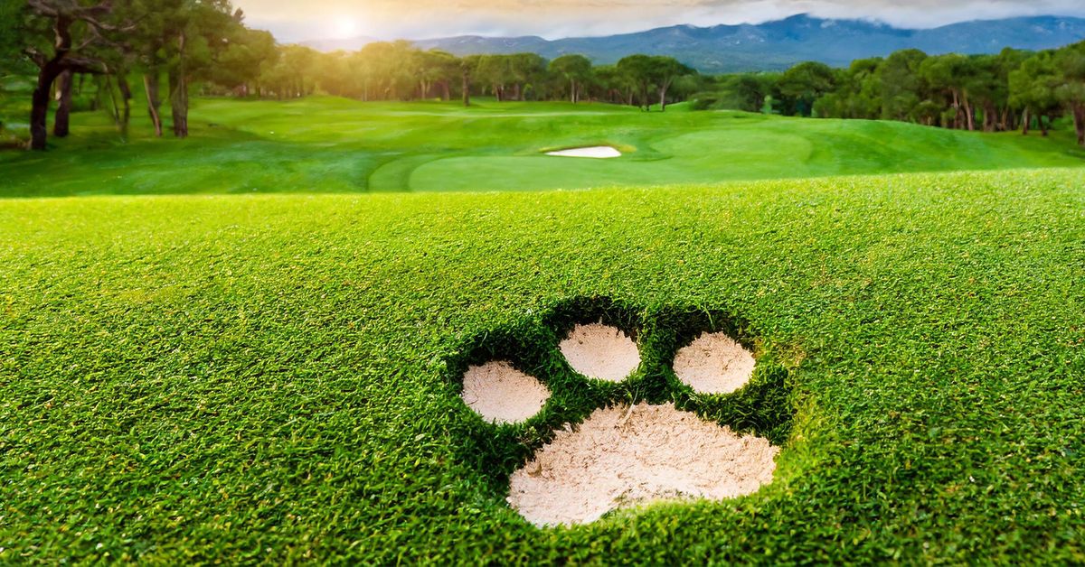 2024 Putts for Paws Charity Golf Tournament