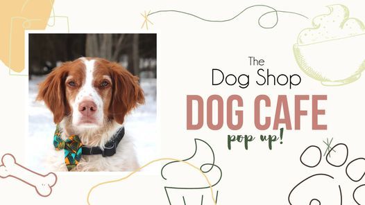 The Dog Shop Dog Cafe Pop Up
