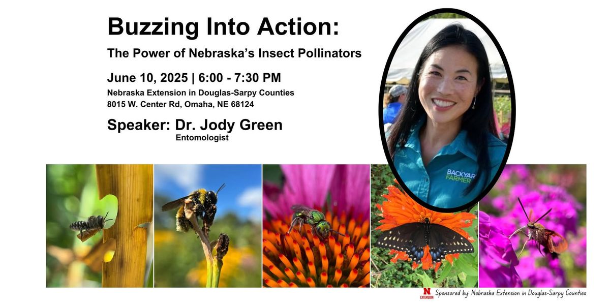 Buzzing Into Action: The Power of Nebraska's Insect Pollinators