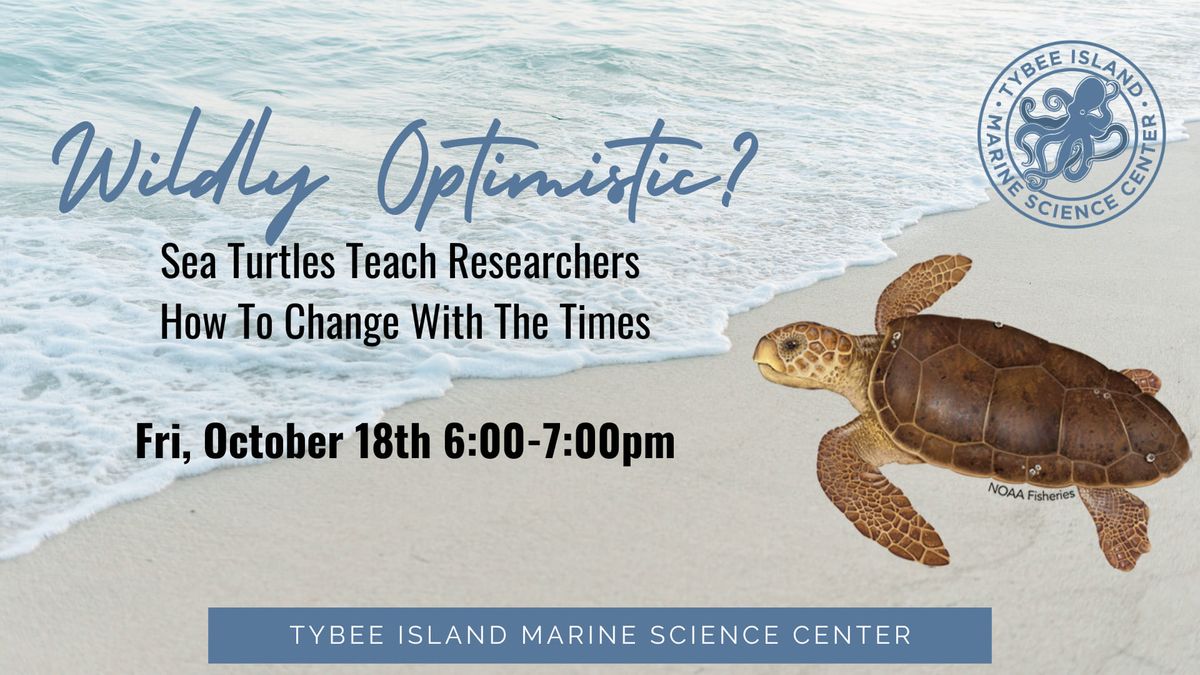 Wildly Optimistic? Sea Turtles Teach Researchers How To Change With The Times 