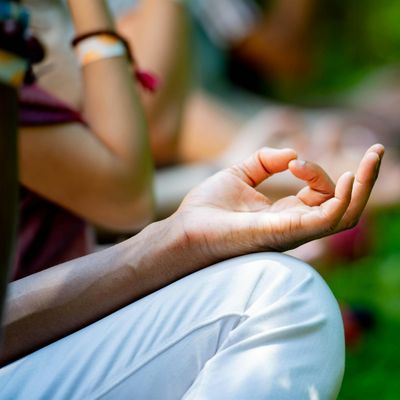 The Art Of Living Foundation