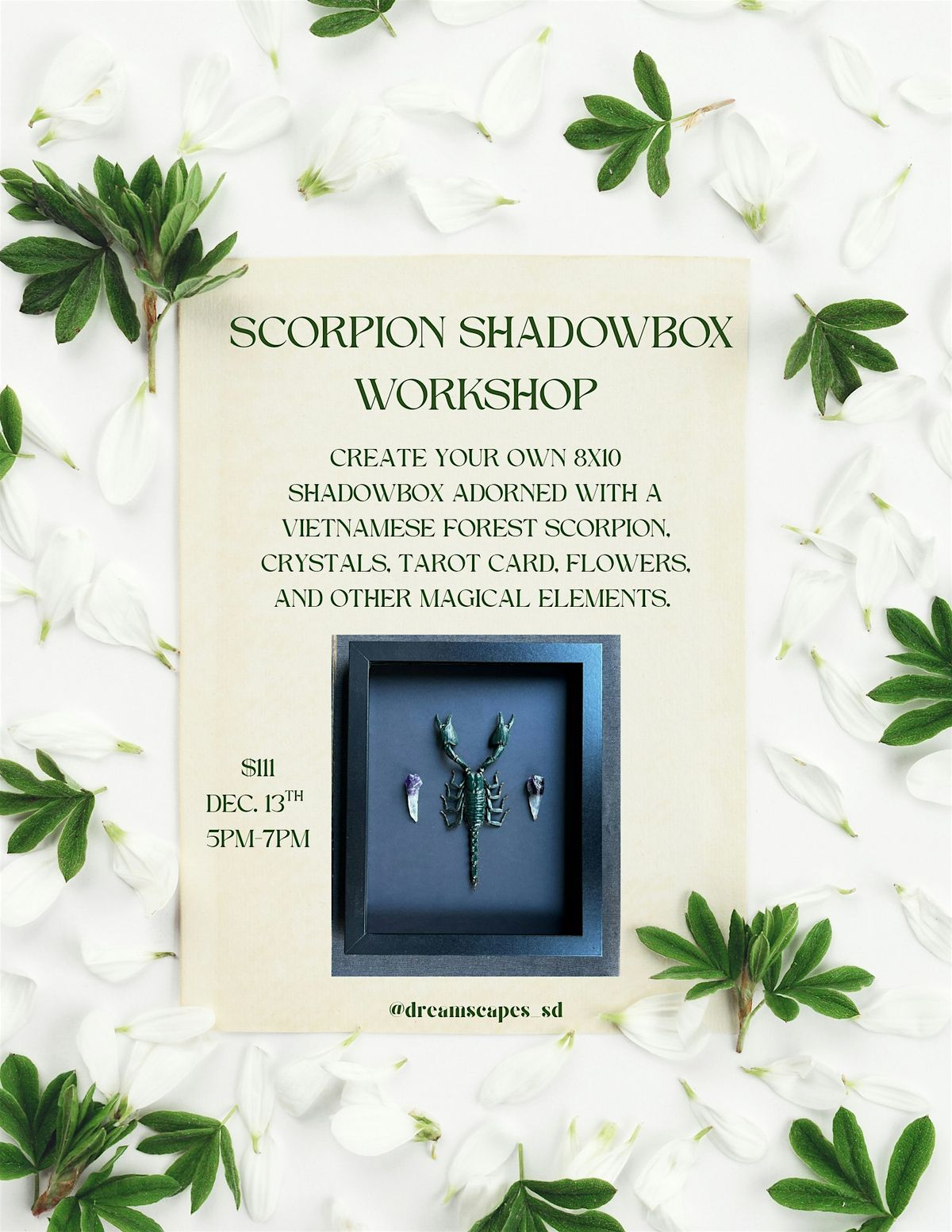 Scorpion Shadowbox Workshop