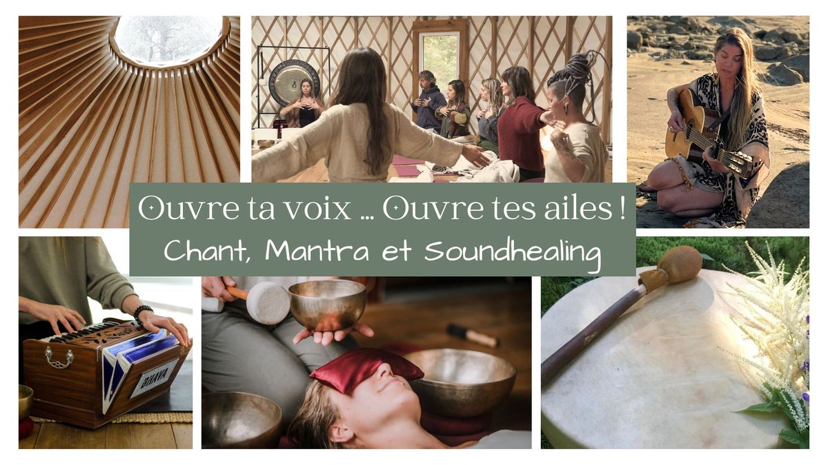 Retraite d'un jour: OUVRE TA VOIX, OUVRE TES AILES! Chant * Mantra * Soundhealing