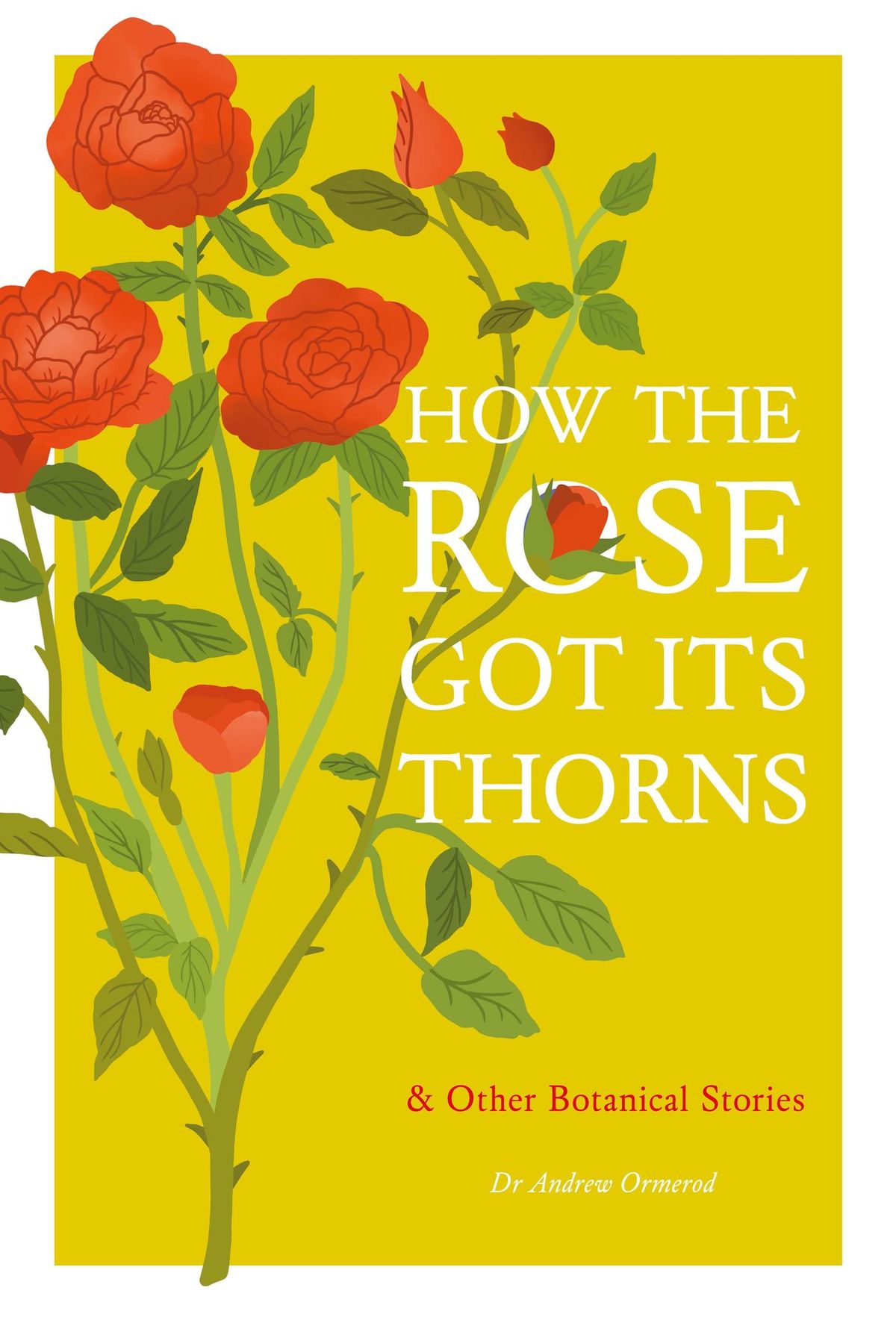 Dr Andrew Ormerod How The Rose got its Thorns