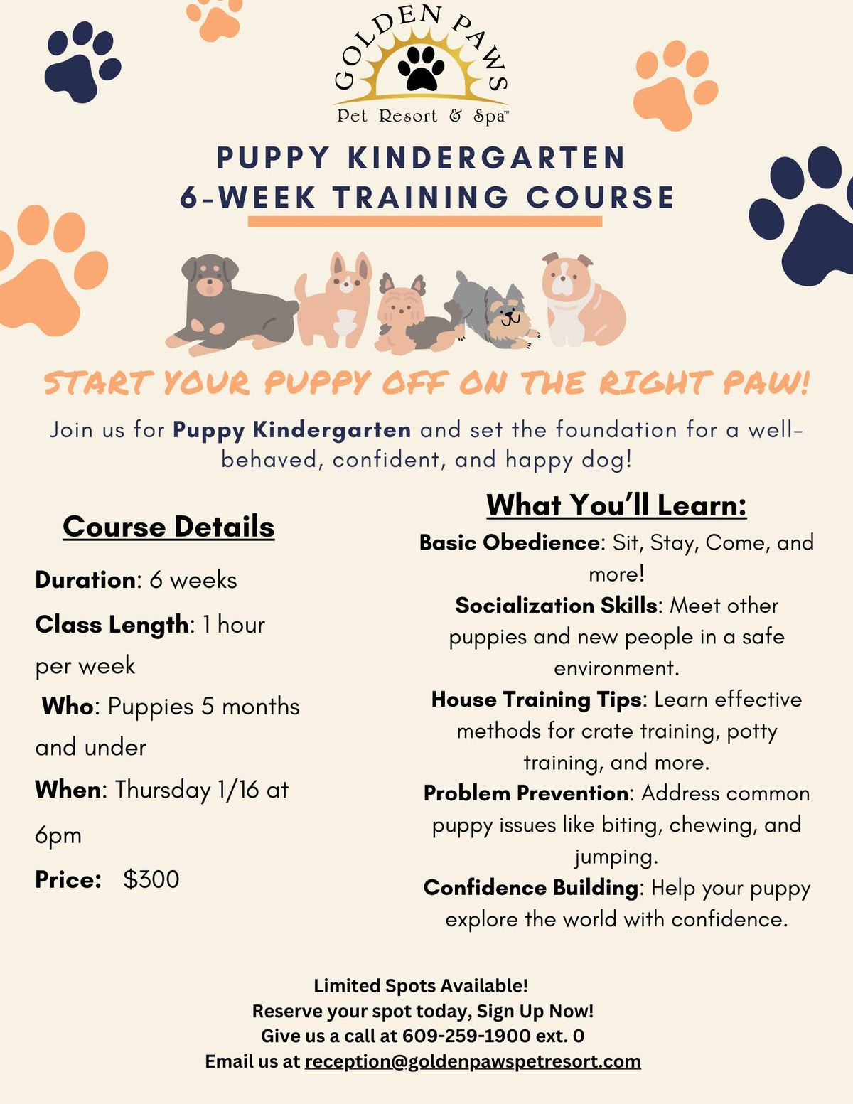 Puppy Kindergarten - 1\/16