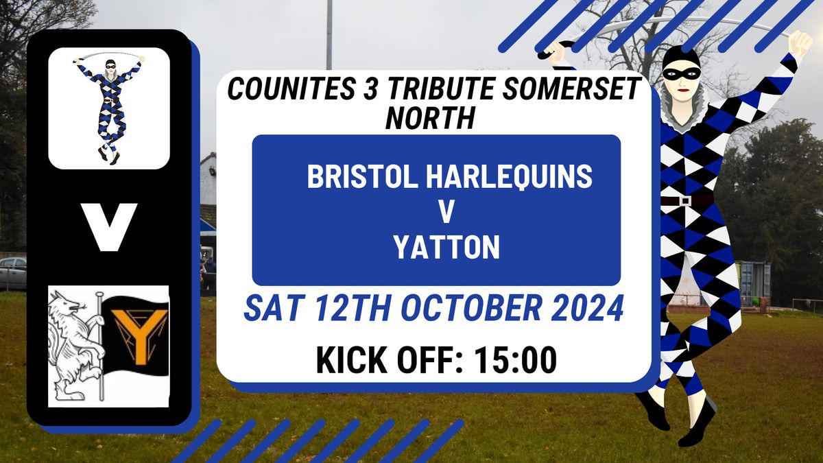 Counties 3 Tribute Somerset North Matchday 5: Bristol Harlequins V Yatton