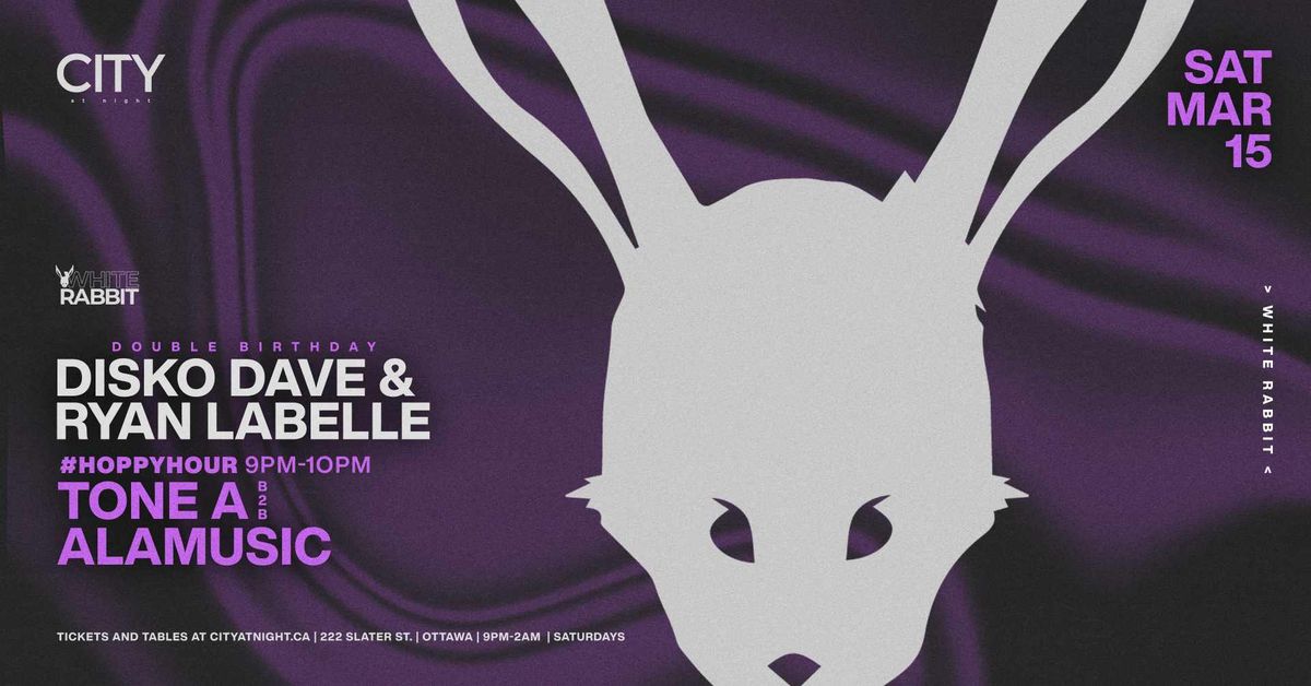 WHITE RABBIT: DISKO DAVE & RYAN LABELLE, TONE A b2b ALAMUSIC