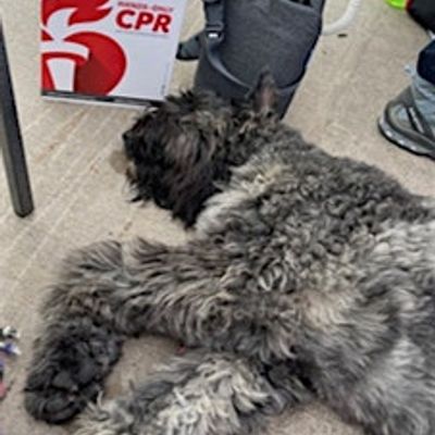 Lisa Meyers & Jaime Bruington