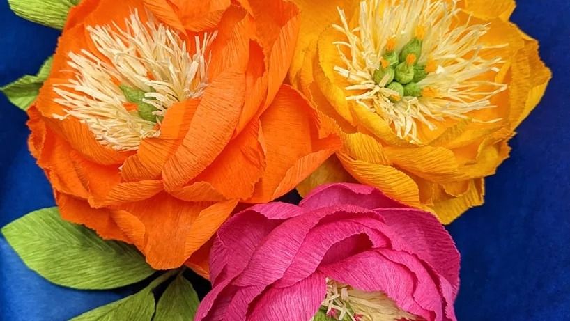 Learn how to make a crepe paper peony
