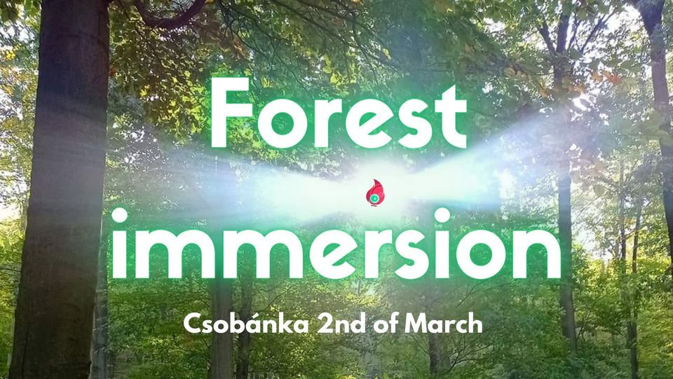 Forest Immersion