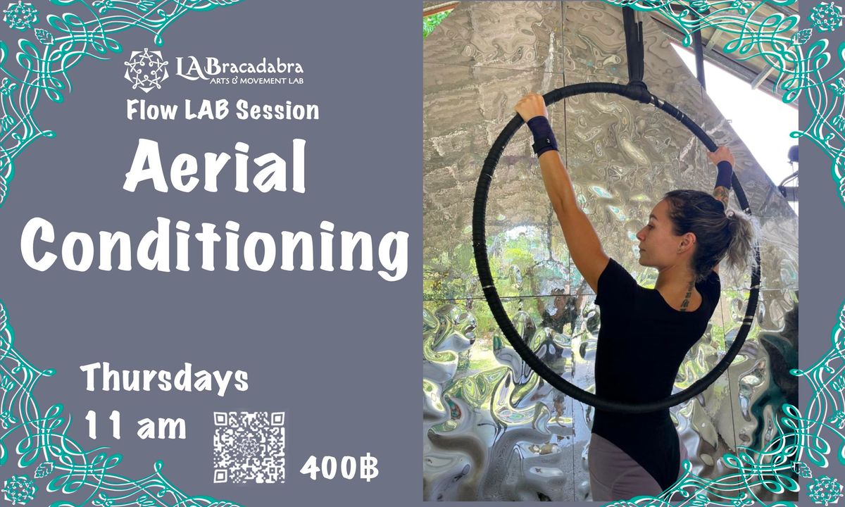 Aerial Conditioning | Flow LAB Session