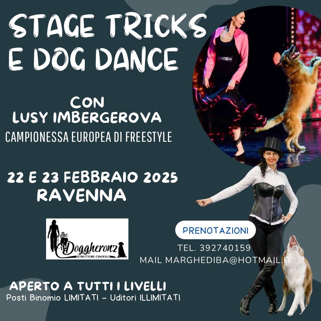 Stage Tricks e Dog Dance con Lusy Imbergerova