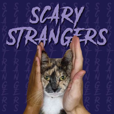 Scary Strangers