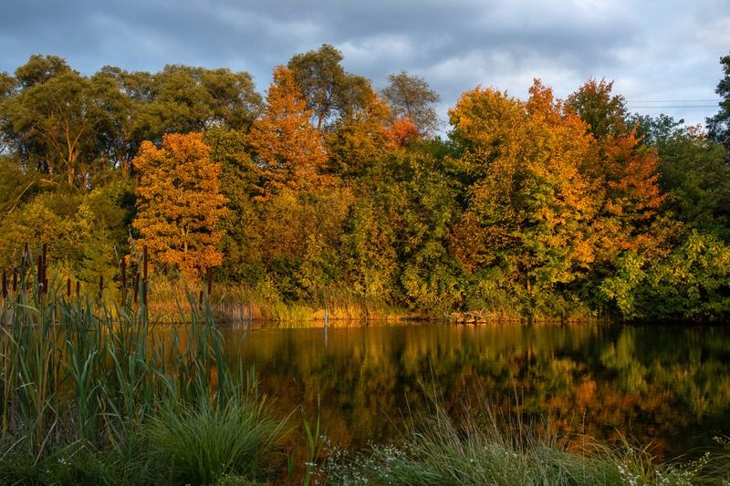 Downtown Flint Fall Color Paddle Saturdays