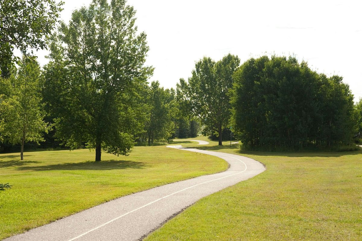 YYC Trees: North Glenmore Park, Tree Guided Walk