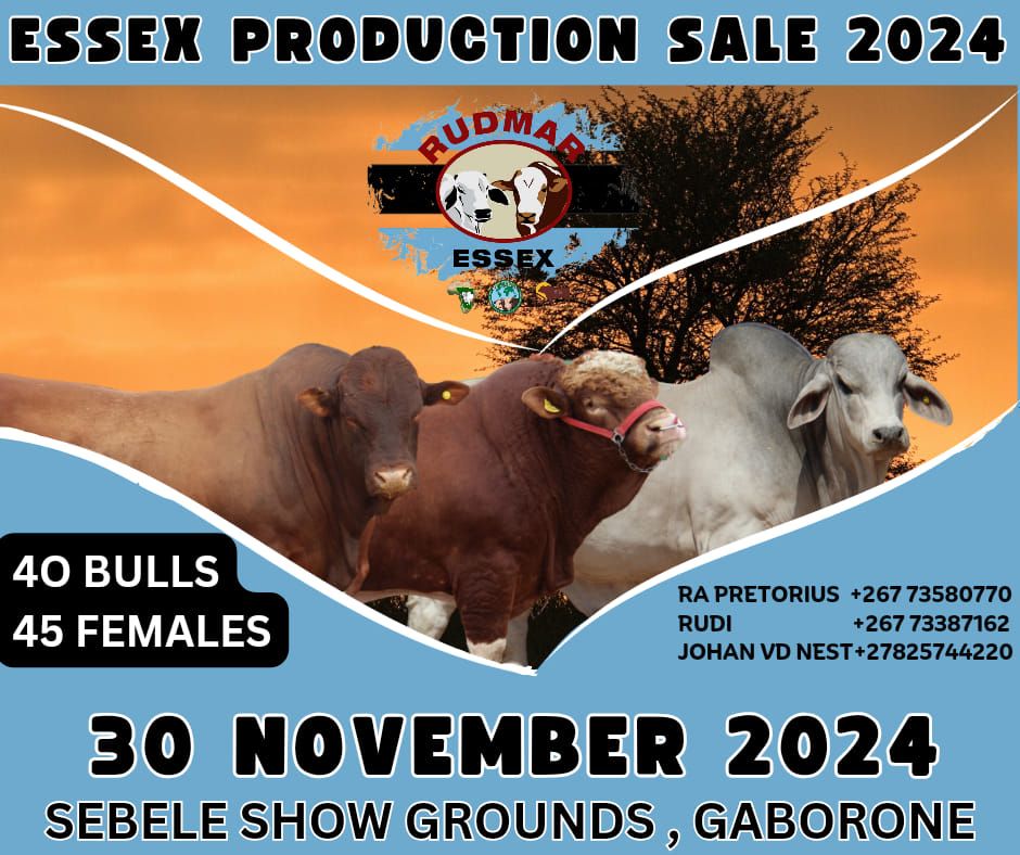 4th ESSEX PRODUCTION SALE