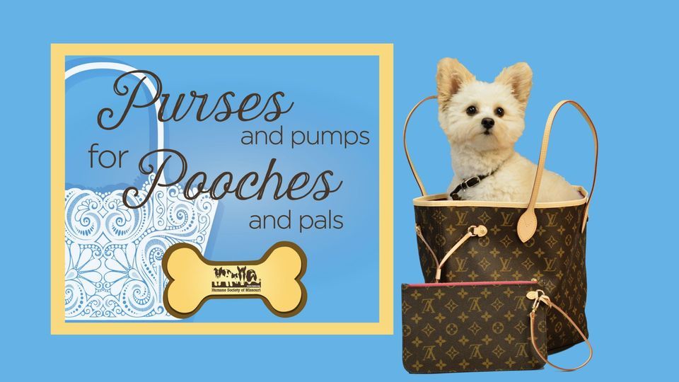 Purses for Pooches 2022, Humane Society of Missouri (HSMO Macklind ...