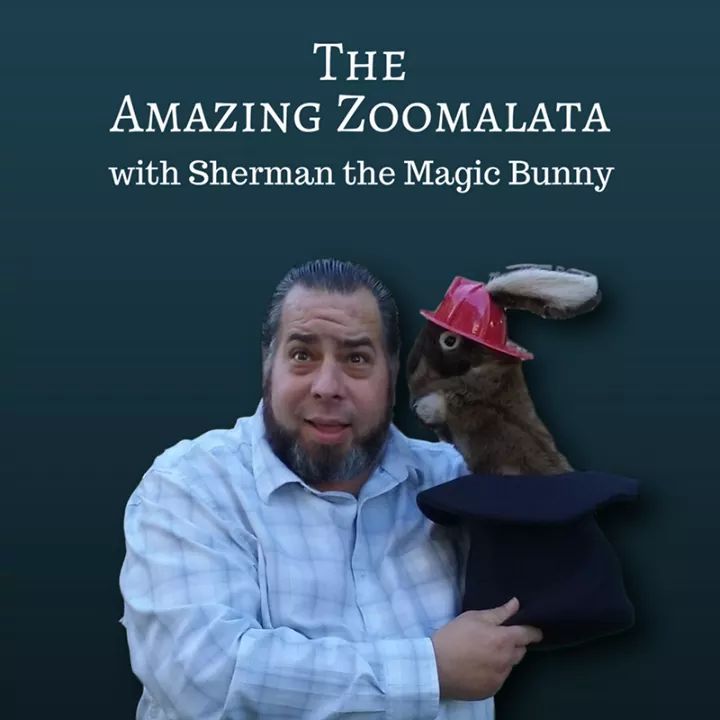 Take Your Child to the Library Day Featuring The Amazing Zoomalata