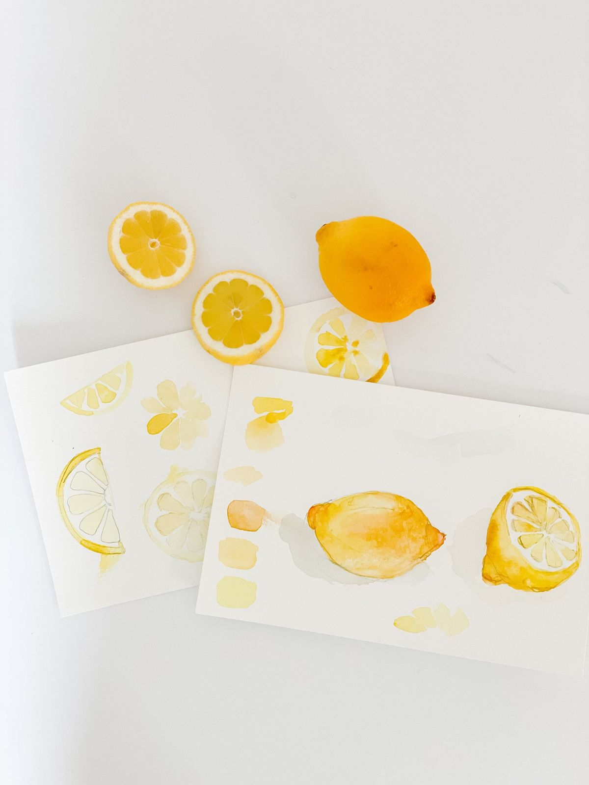 [Workshop] Citrus in Watercolor with LaCott Fine Art