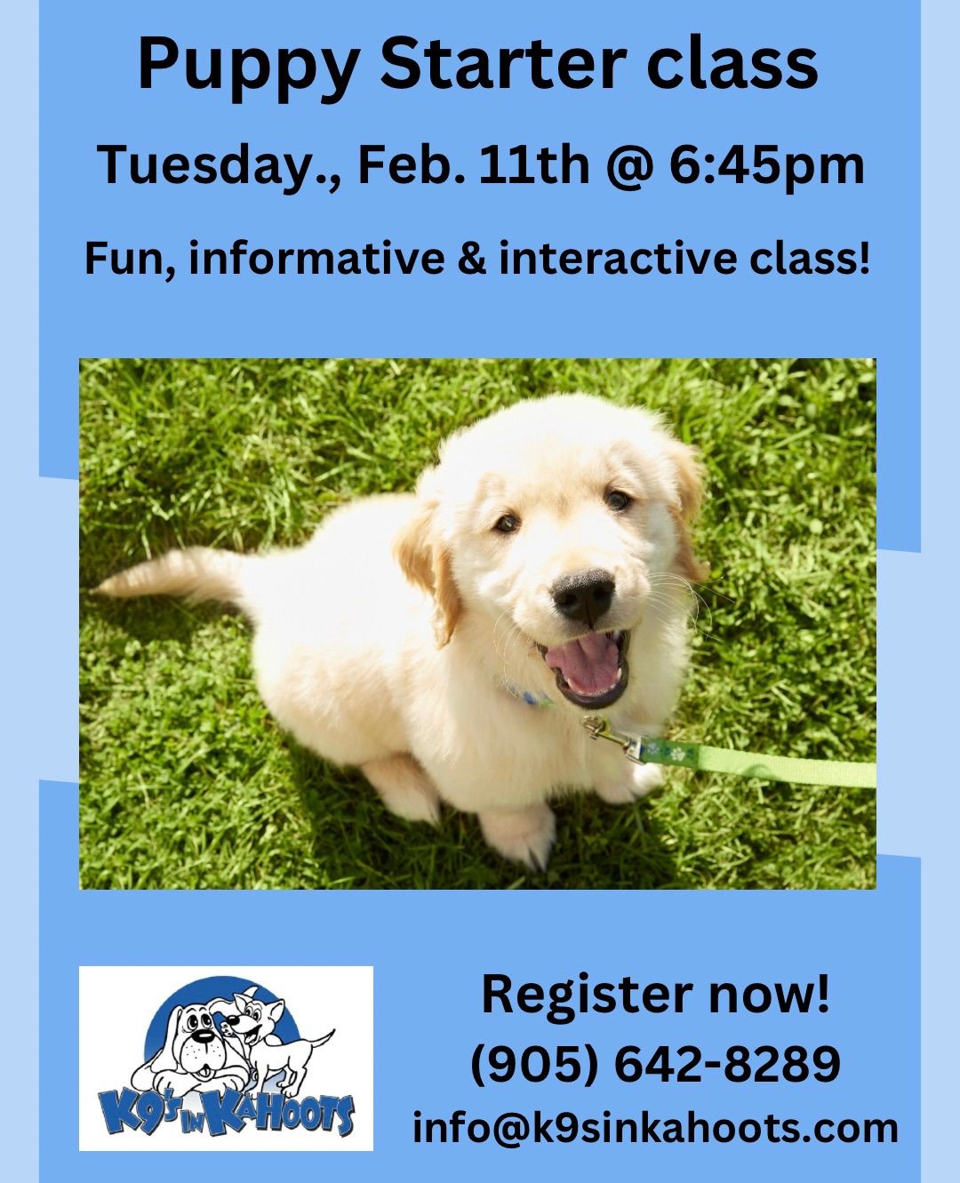 Puppy Training Class