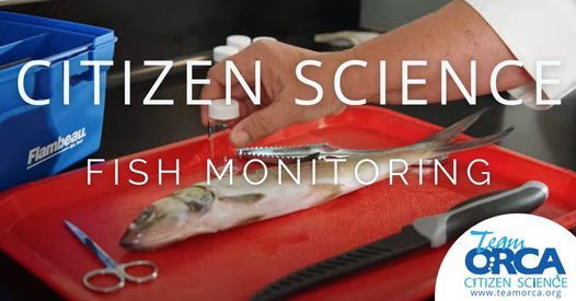 Citizen Science Workshop: Fish Monitoring