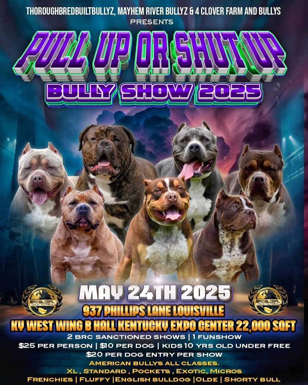 Pull Up or Shut Up \/ BRC Global American Bully dog show