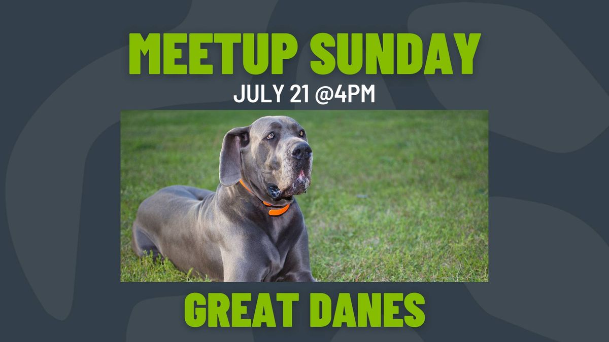 Meetup Sunday: Great Danes 