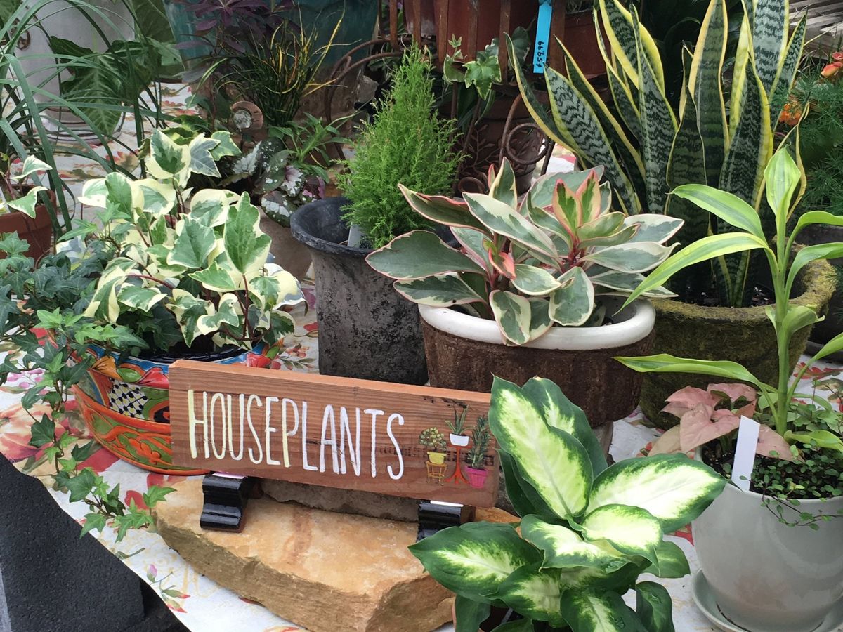 Happy Houseplants