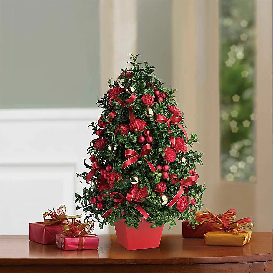 Holiday Floral Class: Tabletop Boxwood Tree