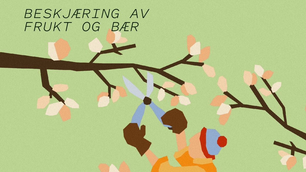 Kurs med Bybonden: Beskj\u00e6ring av frukttr\u00e6r og b\u00e6rbusker\ud83c\udf33