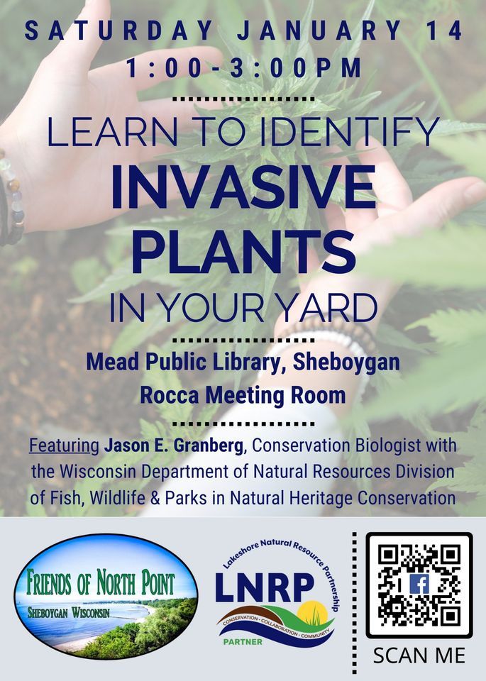 Learn to Identify Invasive Plants in Your Yard (Hosted by Friends of North Point, Sheboygan)