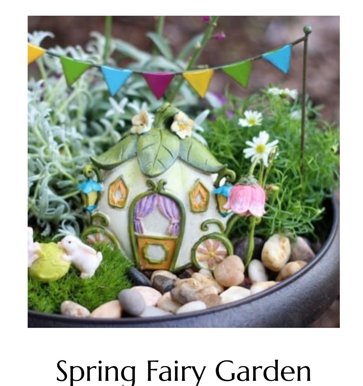 Spring Fairy Garden Workshop