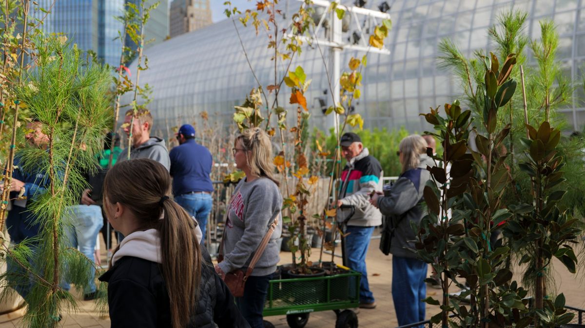 Tree For All presented by Cox